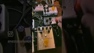 How NoiseGate Guitar Pedel Works