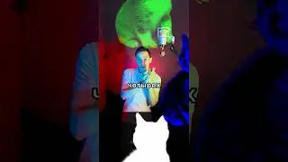 Как работает PNG? ❤️💚💙🐈?