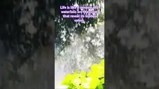 #mothernature