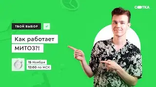 Как работает МИТОЗ?! | ОГЭ БИОЛОГИЯ 2021 | Онлайн-школа СОТКА