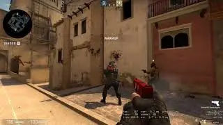 CS:GO hitbox bug