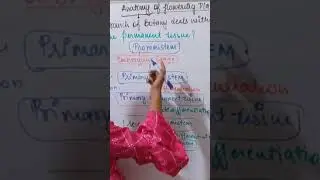 How permanent tussue formed- Vijita Sharma #views #youtube #subscribe #neet #kota #youtubeshorts
