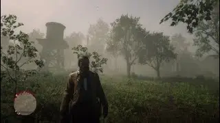 Red Dead Redemption 2 Uber Delivery Service