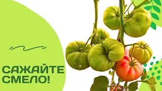 Заветам Ильича буду верна долгие годы!