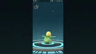 Shiny Bulbasaur to Venusaur Pokemon Go #shorts #short #PokemonGo 2022