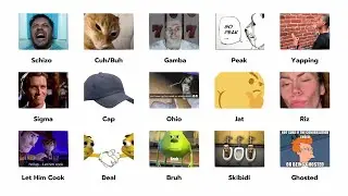 Every Gen Z & Gen Alpha Slang Explained Using Only Memes