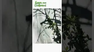 Фактуры города   #такойставрополь