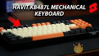 Havit HAVIT KB487L TKL Mechanical Keyboard Unboxing 