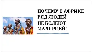 11. Почему в Африке ряд людей не болеют малярией?