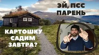 ДАЧИ В ИСПАНИИ / ДАЧИ В РОССИИ