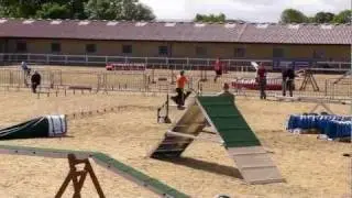 WAO 2011 - Ind. Pentathlon - agility 1 - Wendy Tunders-Willemse en Aydisa