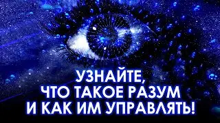 Узнайте, что такое разум и как им управлять! Сила разума заключается в понимании и мудрости!