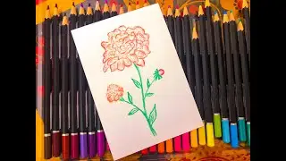 Как нарисовать цветы // Рисунок карандашом для самых маленьких