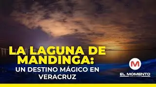 La Laguna de Mandinga: Un Destino Mágico en Veracruz