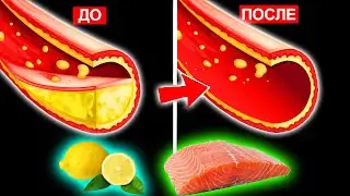 Эти продукты очистят кровь! Как очистить кровеносные сосуды   7 основных продуктов для чистки крови