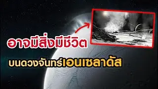 อาจมีสิ่งมีชีวิตบนดวงจันทร์เอนเซลาดัส