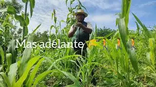 🤠video a peticion de un suscriptor 🌾🚶