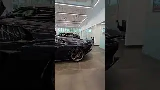 Lamborghini Miami - Lambo Paradise