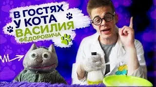 Берта и Ко - В гостях у кота Василия Фёдоровича