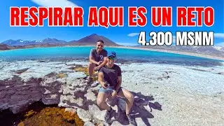 Si no estás listo para esta altura, mejor no lo intentes. Nuestra experiencia a 4 300 metros