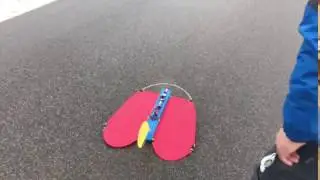 Simprop Flex Start mit 2s Lipo