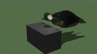 Froggle is Stuck