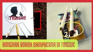 Bongkar Racikan Rokok Sampoerna #tingwe #tengwe #tembakaunusantara