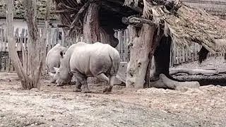 Fontana zoo Zlin