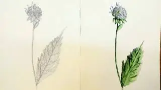 video b7121e405a47c9fd89da7a5c29684726 V