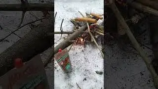Сосиски на костре 😋