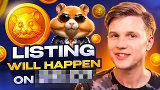 HAMSTER KOMBAT — Gas Fee, Airdrop Date, Price, and Founders