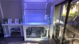 Идеальный Морской Рыбный Аквариум от REEF EXCLUSIVE