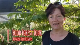 Food Forest Tour in Subtropical Australia -  August Highlights #growyourownfood #foodforest