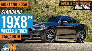 Mustang S550 | Standard 19X8