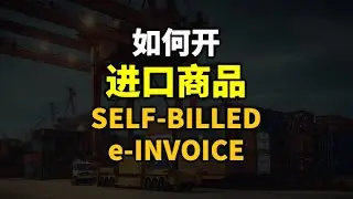⚓️如何用 MyInvois Portal 开进口货品的Self-Billed e-Invoice？