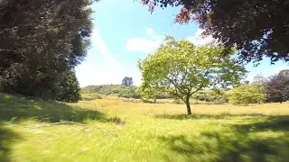A Perfect Day To FPV