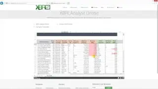 XBRLAnalyst Online and API