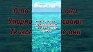 Отношения#любовь🫶