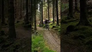 Can you name this classic UK trail? If not, can you get the location? A classic red MTB descent 👌