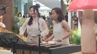 Fantastic Melody #piano   #ifcmall #hongkong