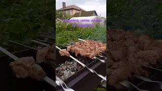шашлык из индейки