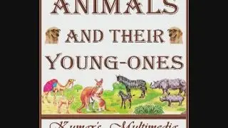 Easy Learn - Animals & Their Young Ones [English + Hindi]