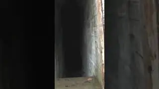 ￼Exploring old British forts in Halifax, Nova Scotia ￼ York redoubt #avoidingchores #canada