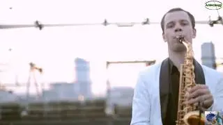 Мадам, я Вас люблю Юрий Волгин