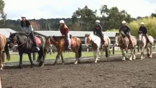 Custom Video Example | Horseback Education