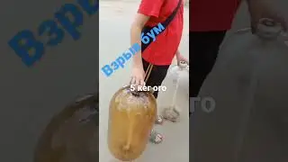 11 июня 2023 г.