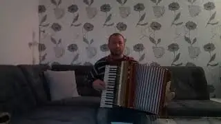 игра на аккордеоне. 