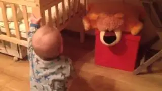Лев со львом