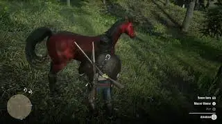 Get Red chestnut Arabian rare horse - Red dead Redemption 2 - Red & White Arabian horse together