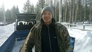 сборы в лес